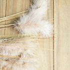 Buque De Pluma E Folhas Outonadas | Linha Permanente Formosin